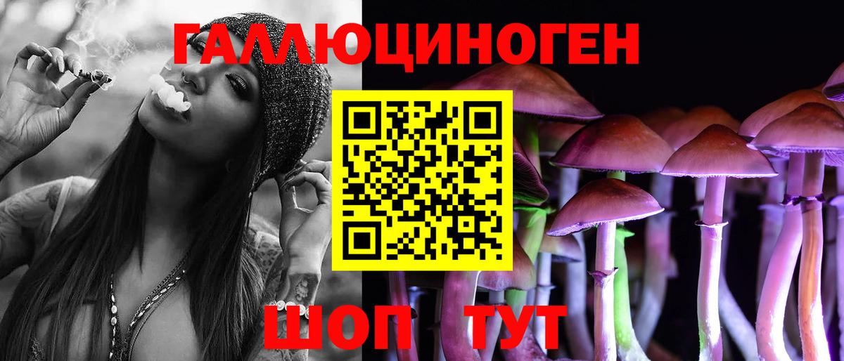 Псилоцибиновые грибы Cubensis Верхняя Пышма